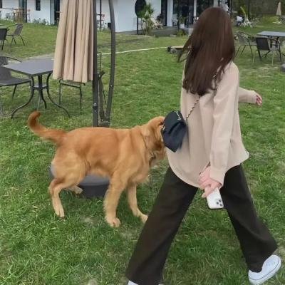 灵肉第一课